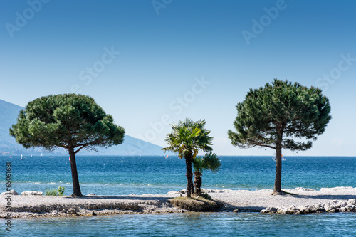Trees at Lago di Garda Lakefront © manfredxy
