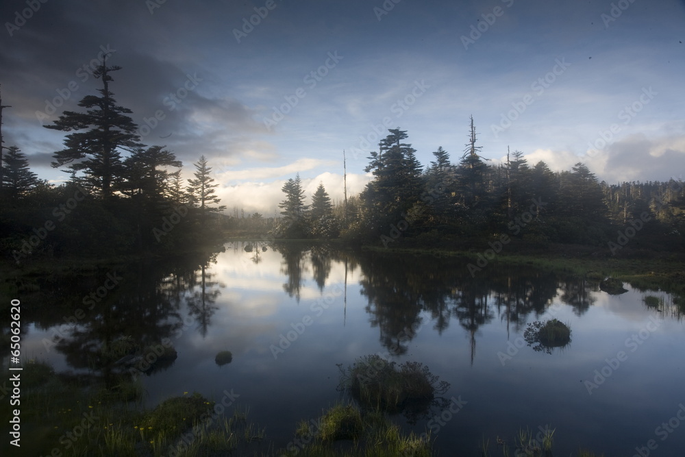 Fototapeta premium The image of beautiful nature