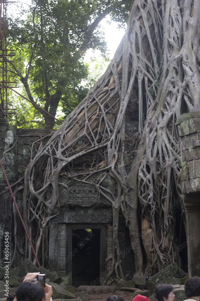 The image of travel destinations