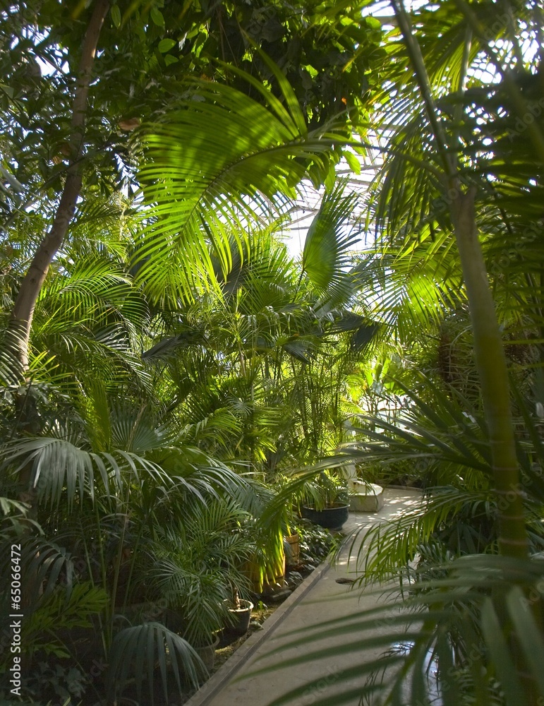 Fototapeta premium The image of beautiful nature in Beijing