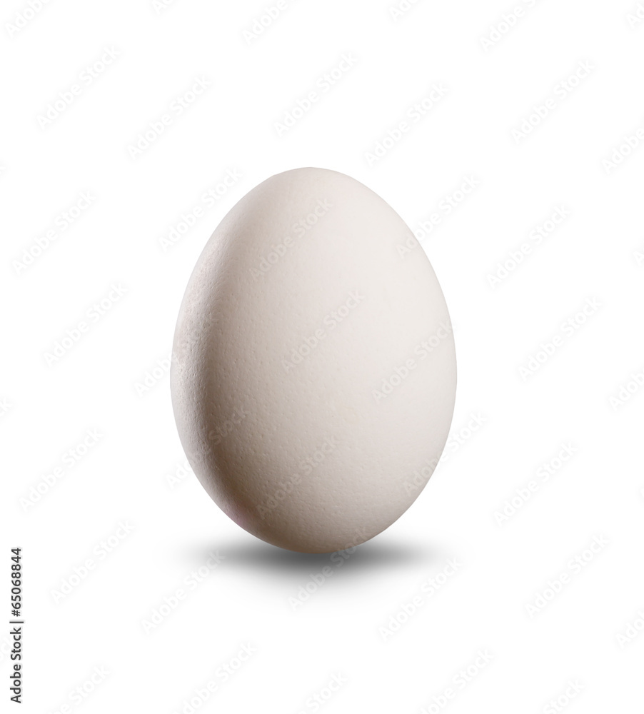 White egg isolated on white background White egg isolated on white background