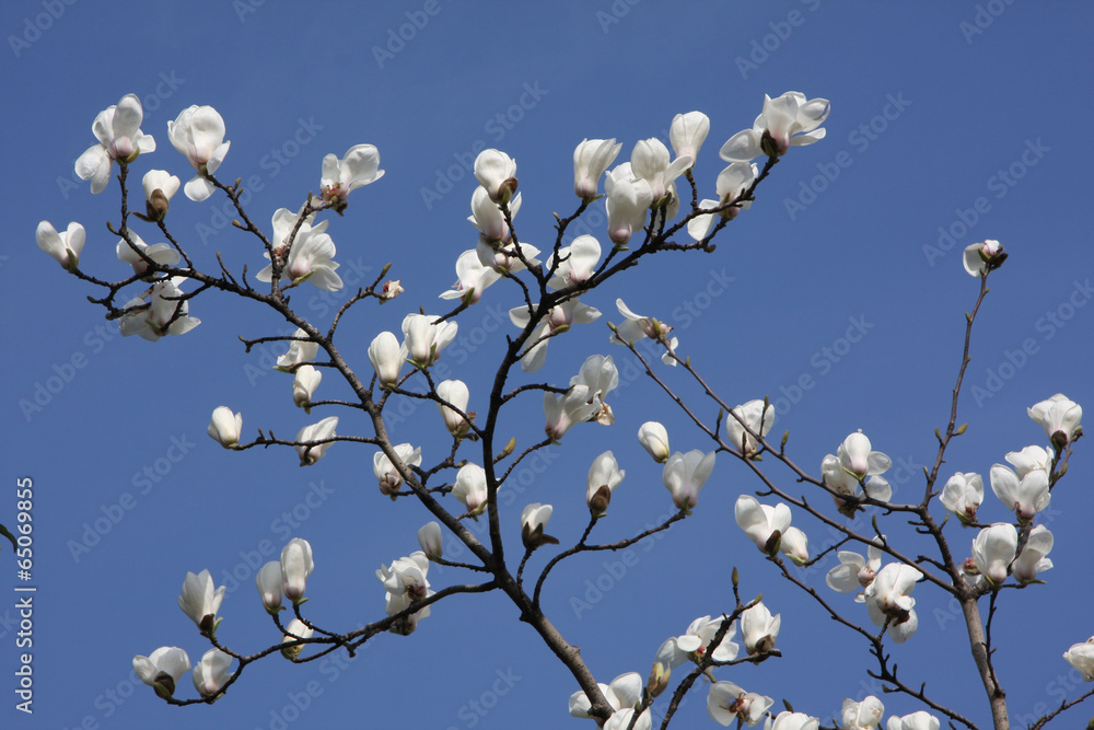 The image of beautiful nature in Asia The image of beautiful nature in Asia