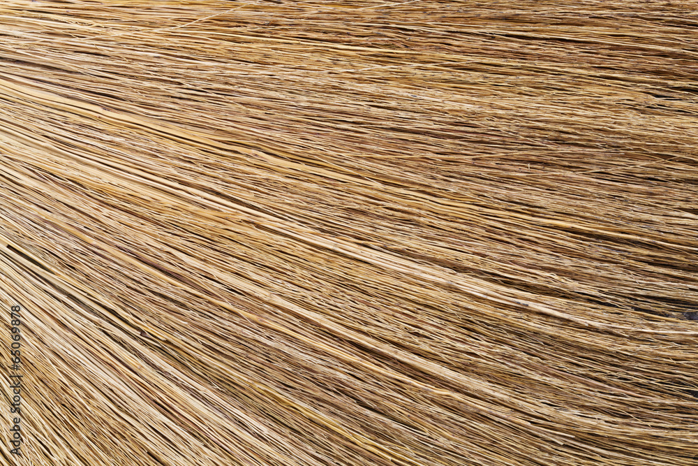 unuaual abstract background of dried plant stick unuaual abstract background of dried plant stick