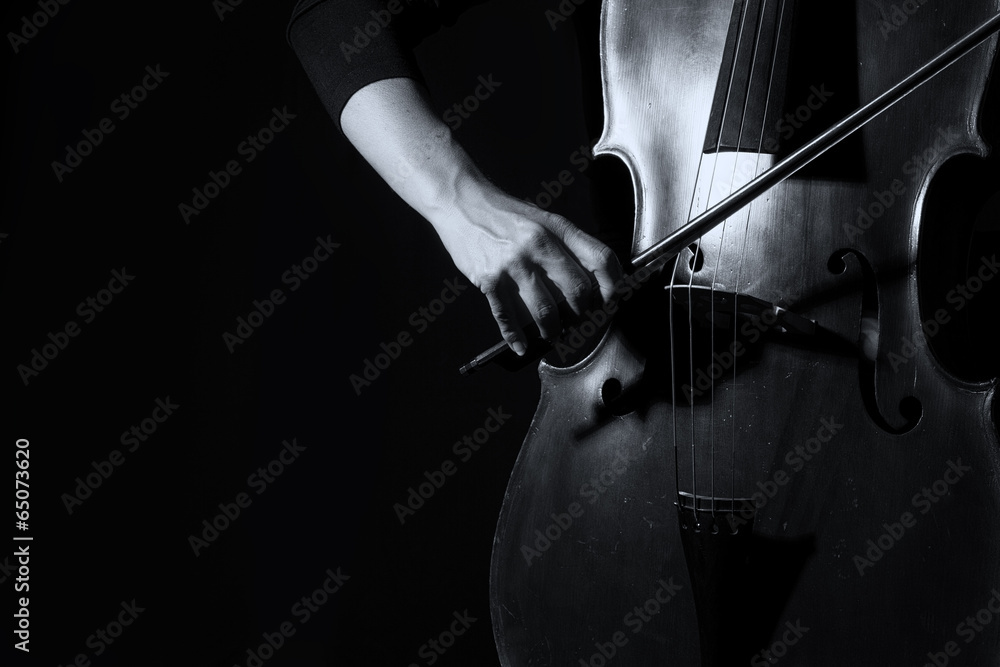 Fototapeta Beautiful woman holding a cello with selective light and black d