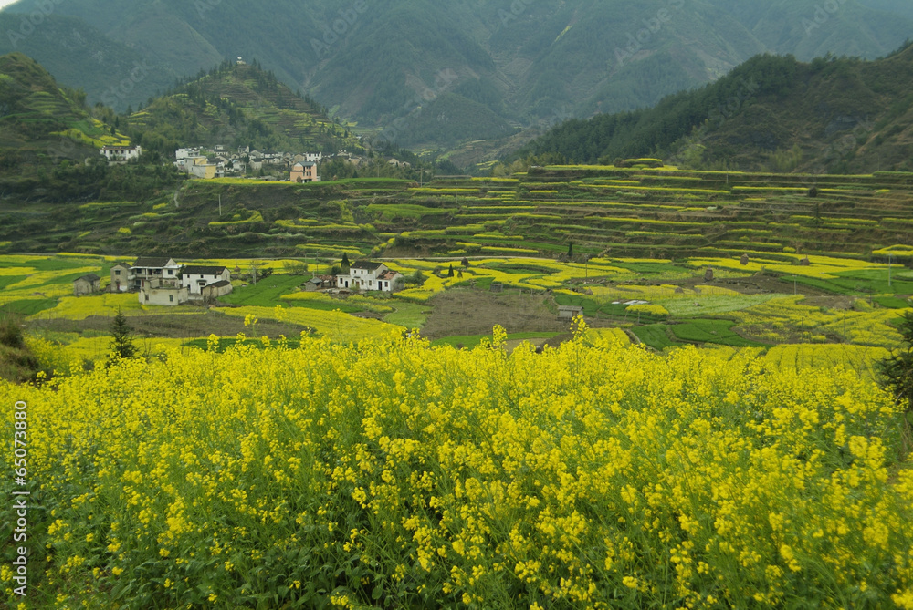 Obraz premium The image of landscape