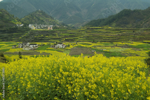 The image of landscape