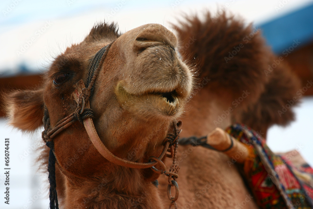 Obraz premium The image of beautiful nature in Asia