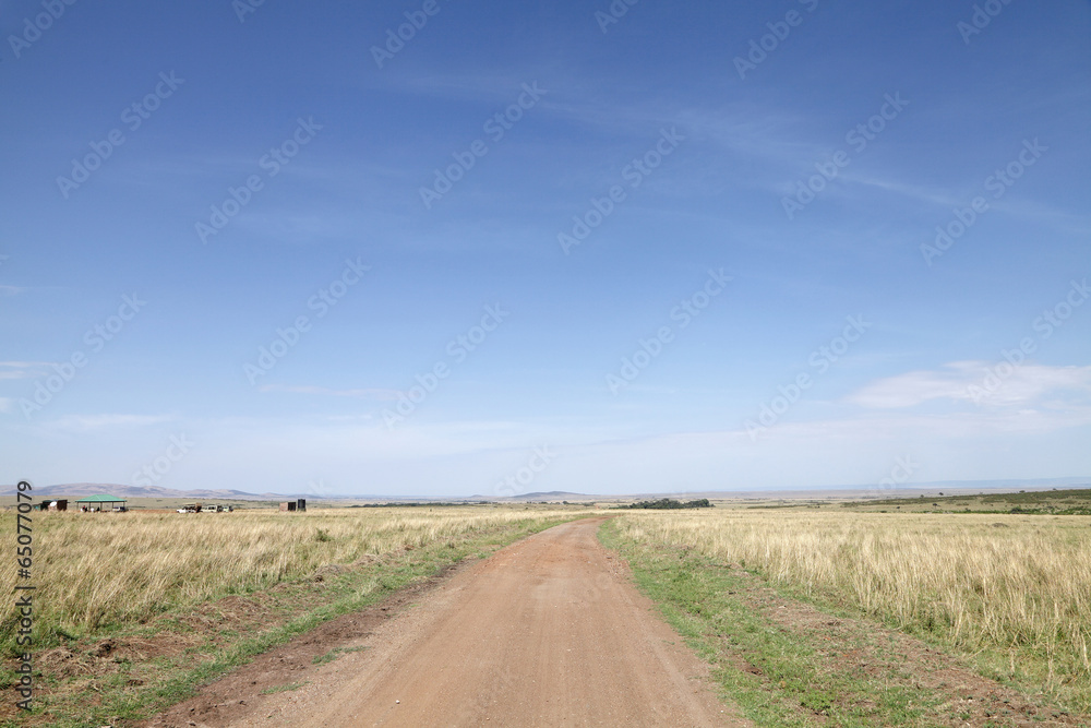 Dirt road and the stretching savannah grassland of  Masai Mara