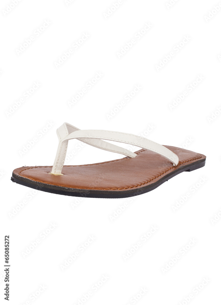 shoe shoe