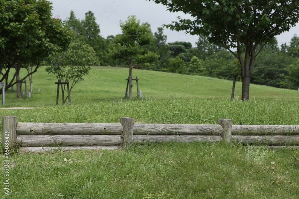 Fototapeta premium The image of beautiful scenery