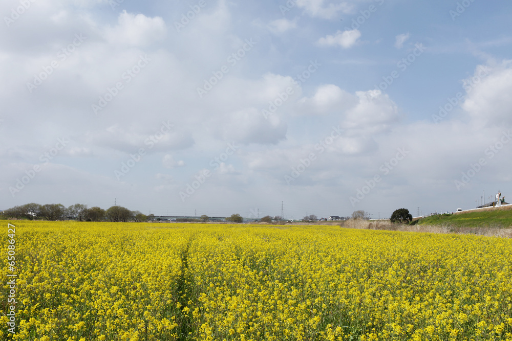 The image of beautiful scenery The image of beautiful scenery