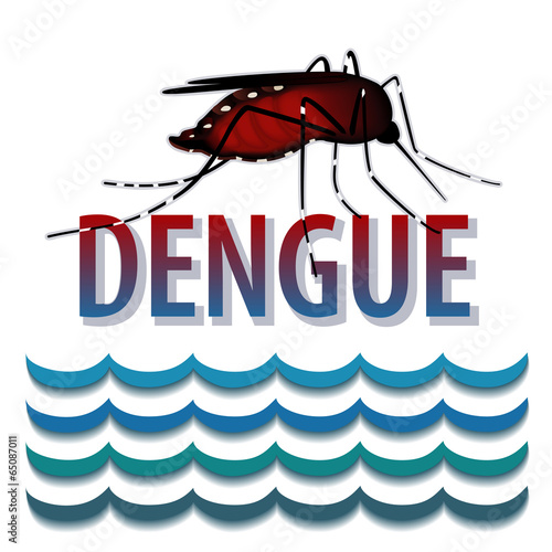 Dengue Fever mosquito, standing water, infectious virus disease