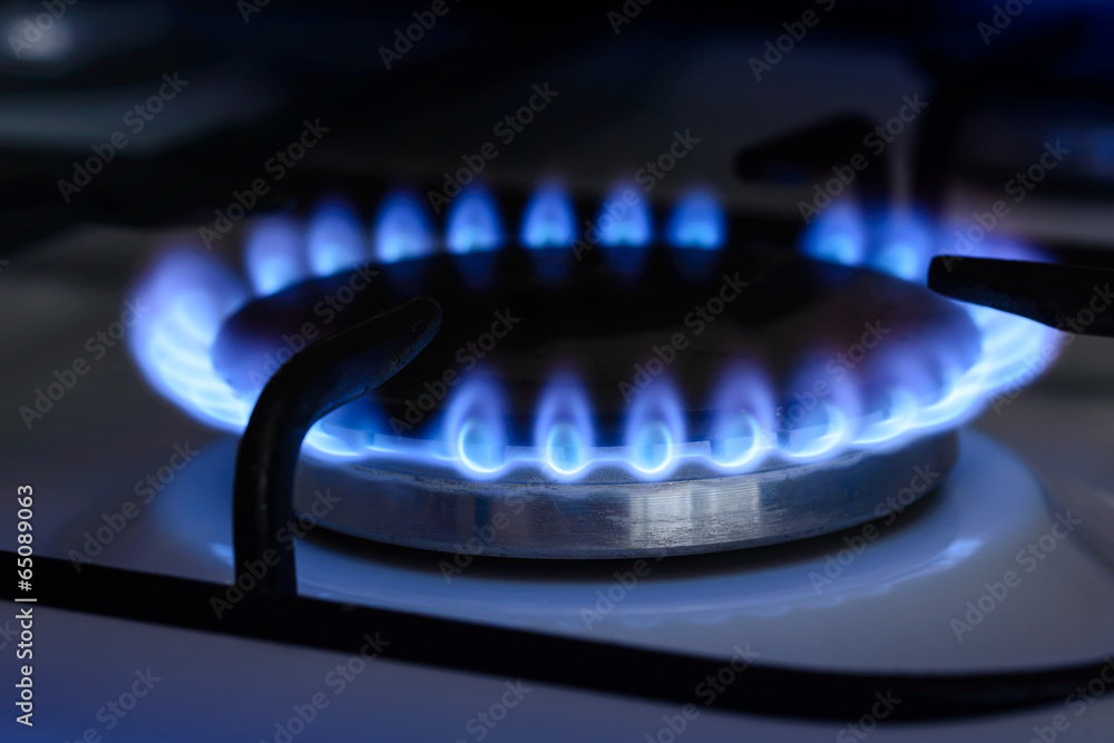 The blue flame from the burner of a gas stove The blue flame from the burner of a gas stove
