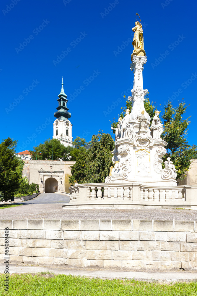 Fototapeta premium the plague column and castle in Nitra, Slovakia