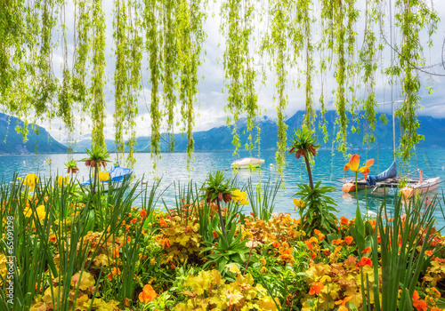 Fototapeta Naklejka Na Ścianę i Meble -  Flower shore and mountains, Montreux. Switzerland