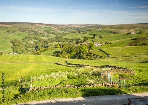 winding footpath through summer fields photo