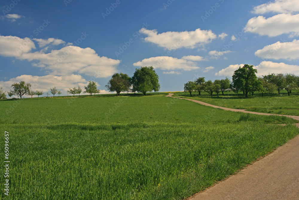 Landschaft mit Fahrweg
