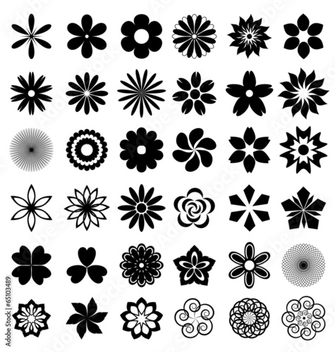 Set of flowers vector