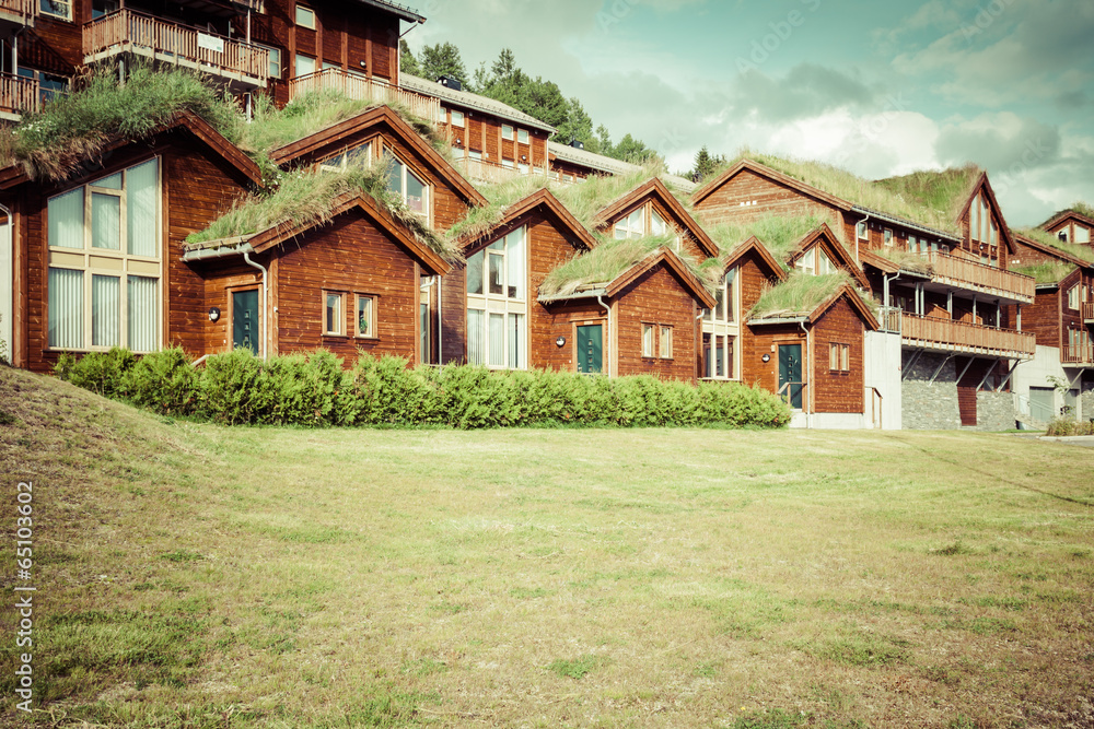 Typical norwegian house with grass on the roof
