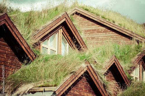 Typical norwegian house with grass on the roof #65104277
