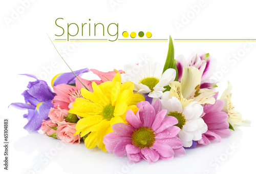 Fototapeta Naklejka Na Ścianę i Meble -  Beautiful flowers isolated on white