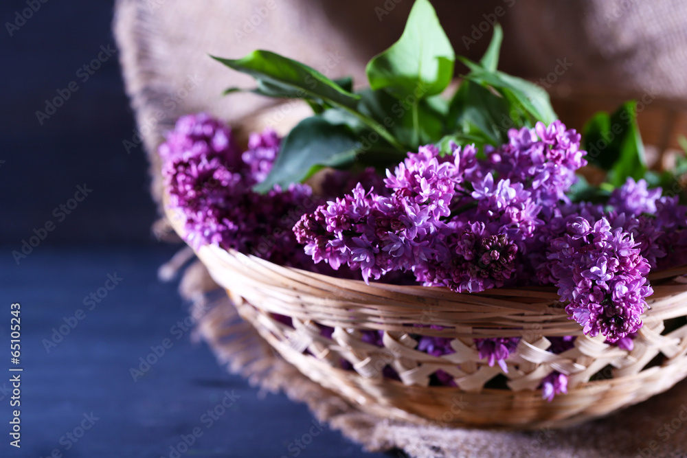 Fototapeta premium Beautiful lilac flowers in wicker basket,