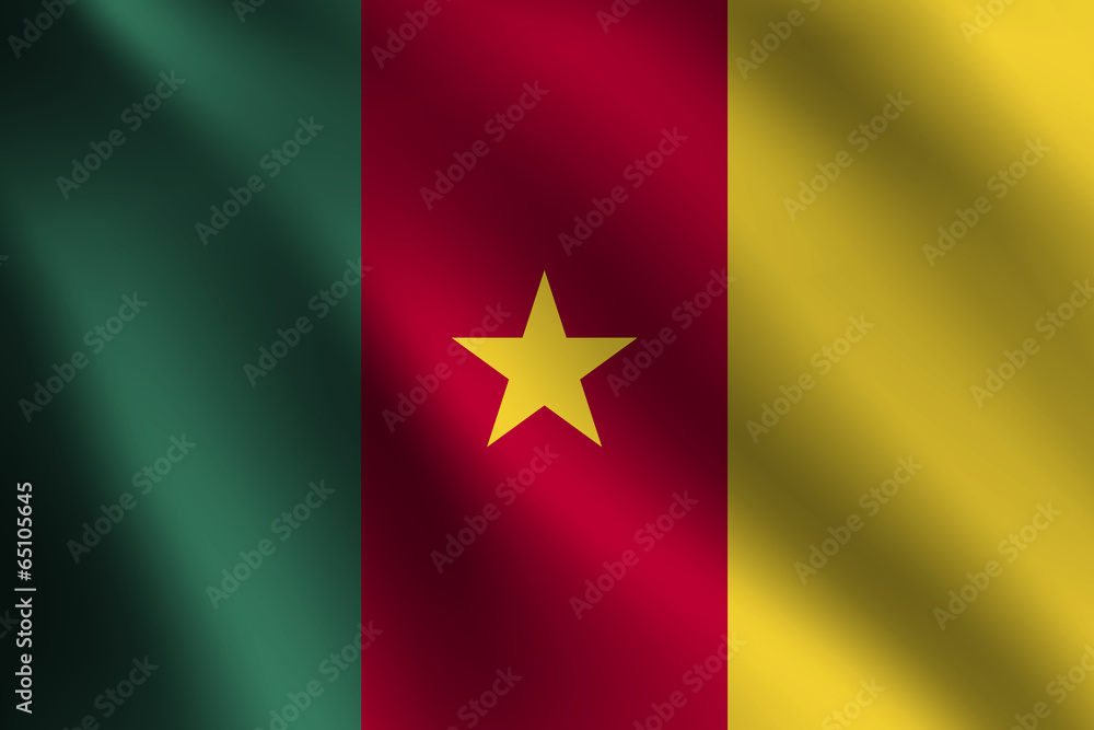 cameroon flag cameroon flag