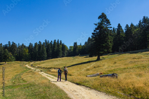 Hikers on a foot path