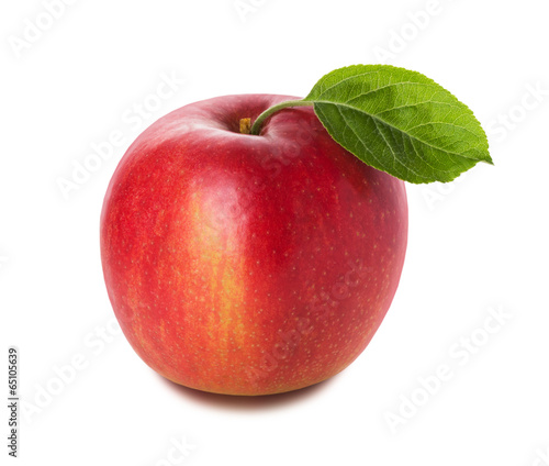 red apple on the white background