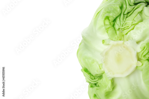 cabbage on the white background