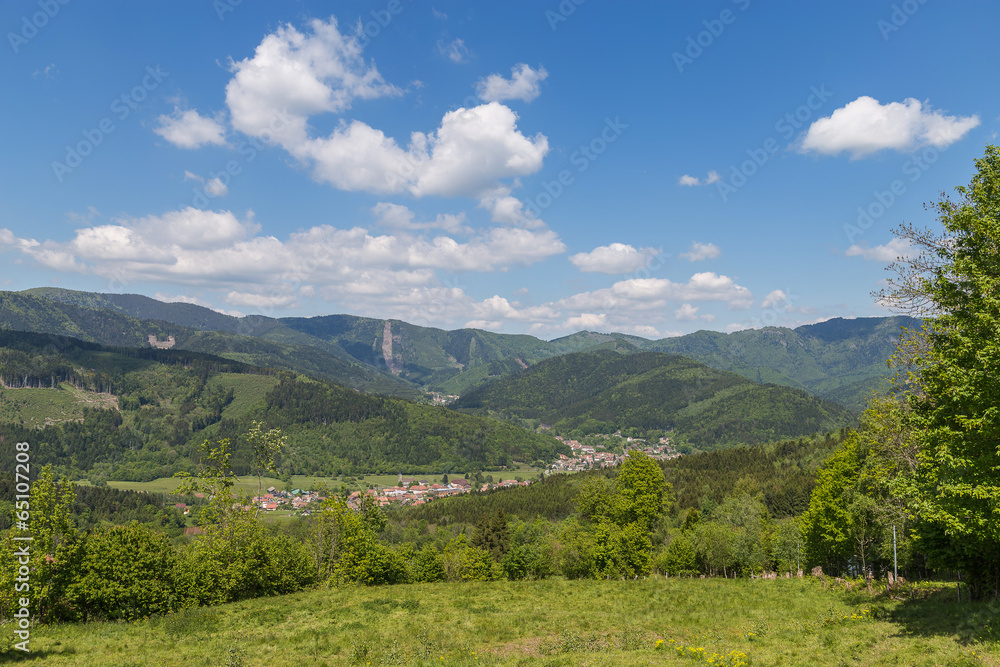 paysage Alsacien