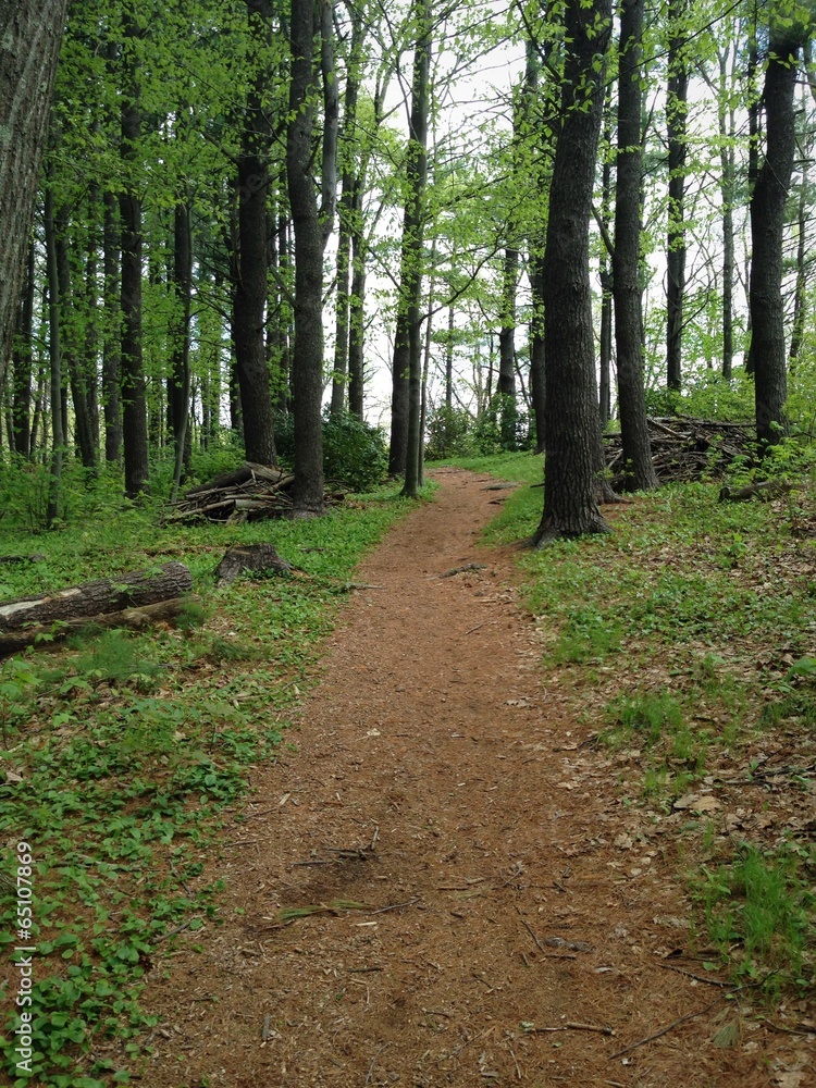 Fototapeta premium Spring Hike