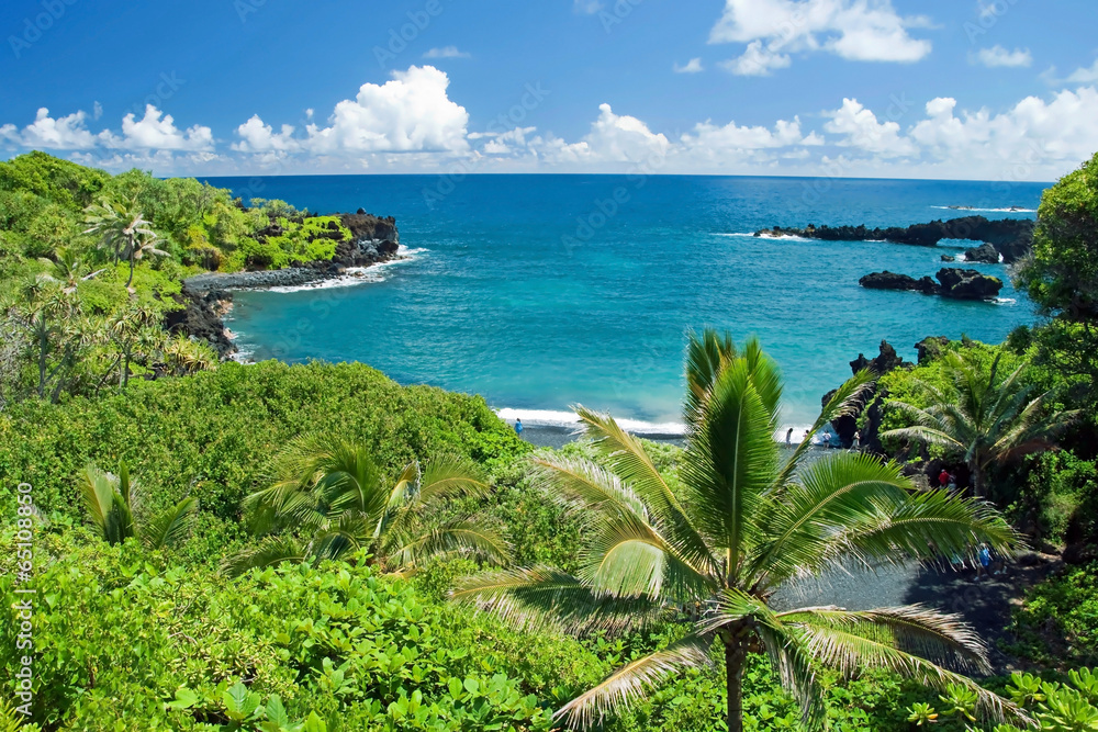 Fototapeta premium Hawaii paradise on Maui island