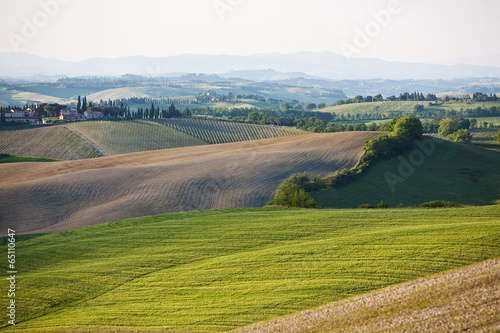 The Tuscan hills