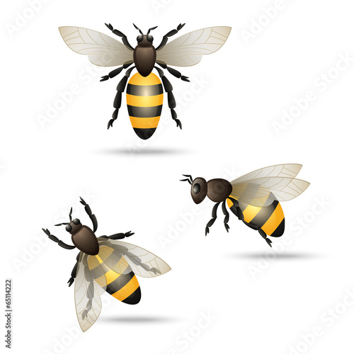 Bees icons set