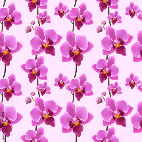 Orchid blossom seamless pattern
