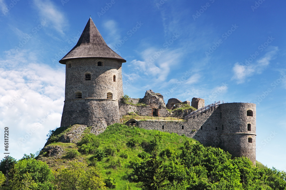 Fototapeta premium Slovakia - Ruin of Castle Somoska