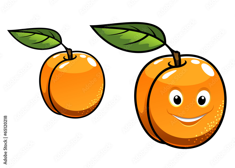 Cute happy orange apricot fruit Cute happy orange apricot fruit