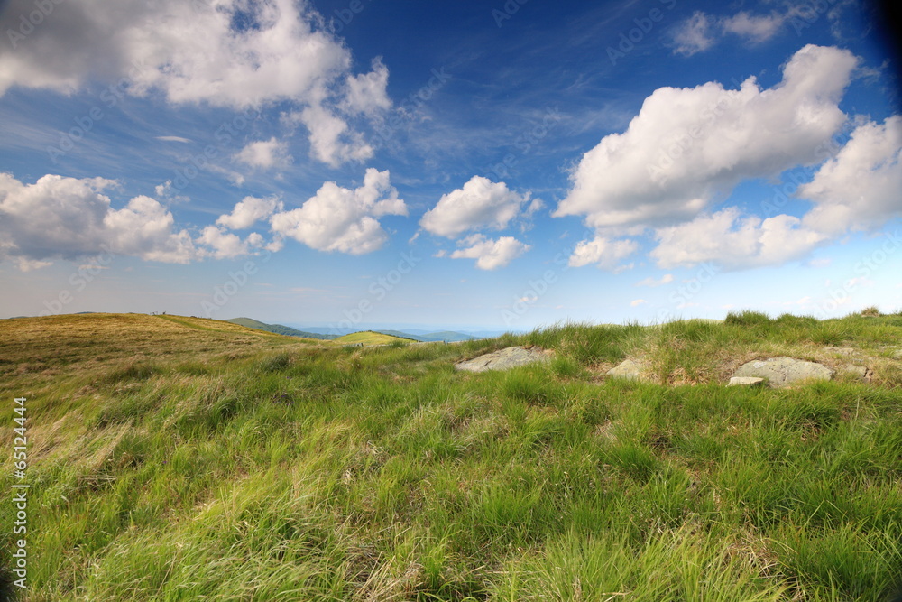 Nature. Green mountain landscape in the summer