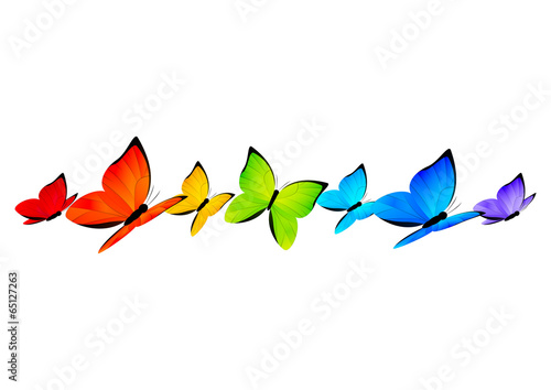 Rainbow butterflies border for Your design