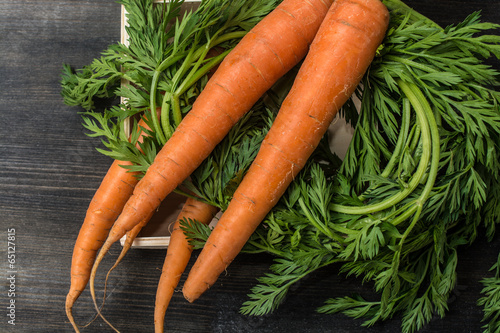 Fresh Organic Carrots on wooden background