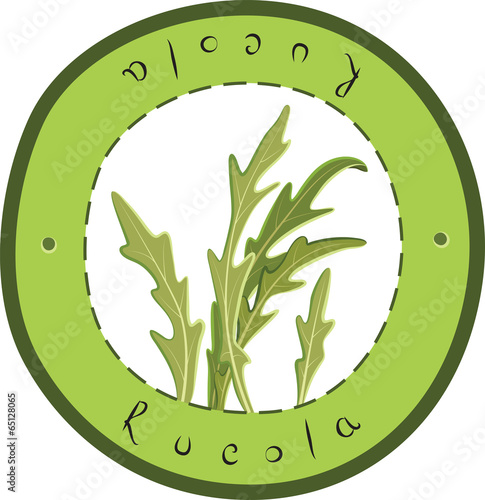 Rucola