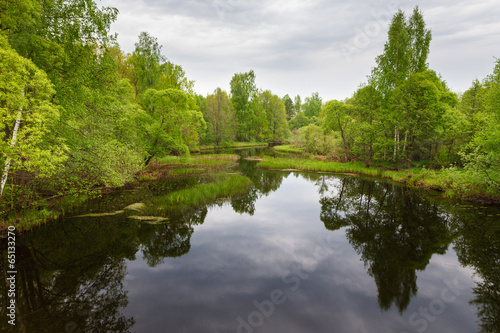 forest Lake