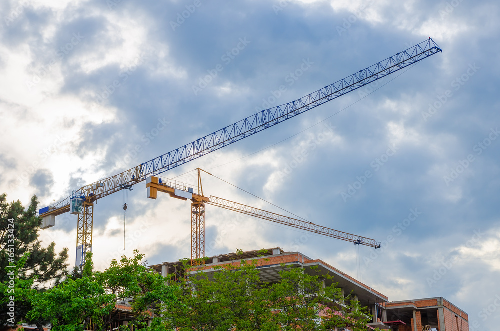 Cranes on a rainy day