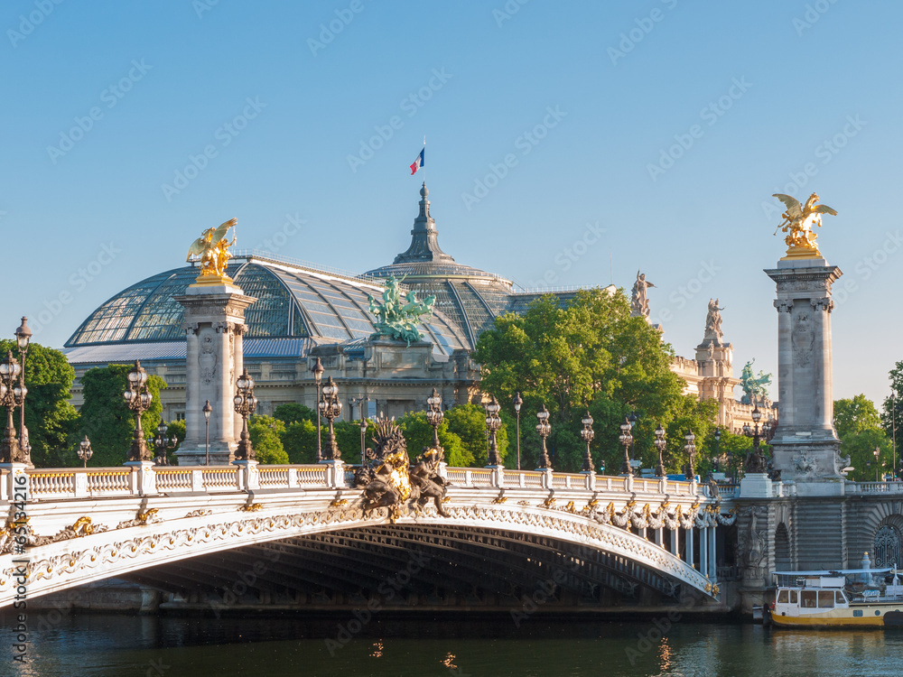 Fototapeta premium Grand Palais