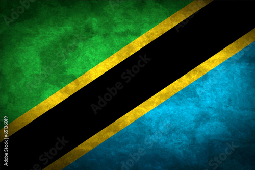 Tanzania grunge flag
