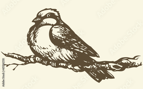 Vector drawing. Small titmouse on a branch