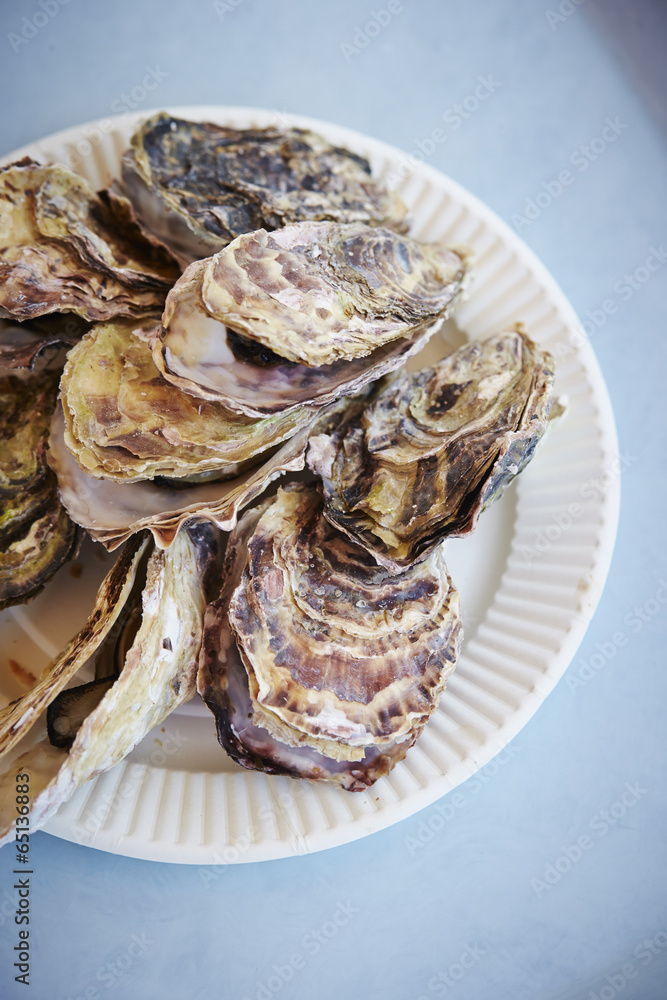 Fresh oysters Fresh oysters