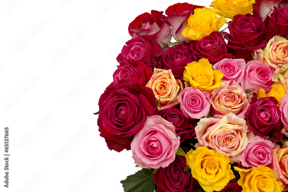 Multicolored roses Multicolored roses