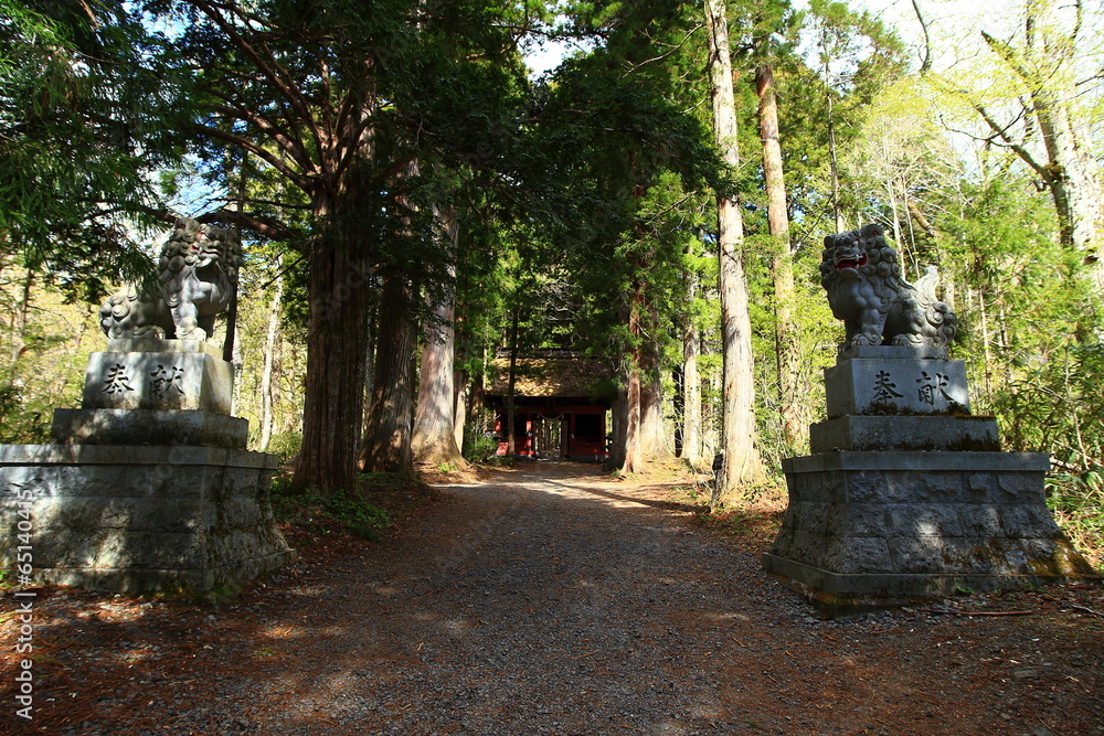 Obraz premium 戸隠神社の参道